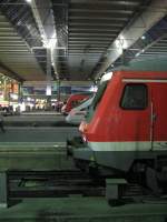 Fnf  Schnauzen  quer durch den Mnchener HBF.