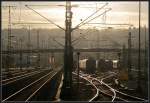 Im Gegenlicht -

... die S-Bahnabstellanlage am Bahnhof Stuttgart-Vaihingen.

