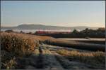 Herbstmorgen im Remstal mit Regionalexpress. 

22.10.2010 (M)