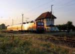 Vom goldenen Licht der aufgehenden Sonne beschienen rollt 143 034-7 am 04.08.2009 mit der RB 26854 durch Wallhausen (Helme) Richtung Nordhausen.