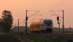 Als nchstes kam gleich im schnen Morgenlicht ein Talent der Mrkischen Regiobahn nach Brandenburg zum Austausch auf der Linie Brandenburg - Rathenow. Viele Gre zurck an den Tf!