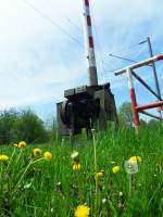 Blhende Lwenzhne am Bahnbergang in Weichering am 30.04.2012.