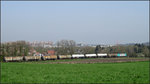 Frühling an der Montzenroute bei Aachen (April 2015) wohlgemerkt! Ein Kesselwagenzug fährt gerade in Richtung Aachen West durch das Bild.