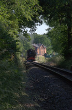 Dschungeltunnelblick am Dippelsdorfer Teich.10.6.2015  17:47 Uhr.