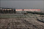 Durch die Sonne hervorgehoben -    S-Bahnzug im Remstal bei Weinstadt-Endersbach.