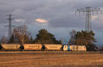 Tolles Fotolicht als der planmäßige Getreidezug Richtung Niederwarthaer Brücke fur.