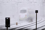 Starker Schneefall in München -     Auf den Weg von München nach Zürich hat sich hier ein RABe 503 gemacht und passiert fast geisterhaft die S-Bahnstation Hirschgarten.