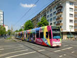 KVB Tw 4124  Köln, Eifelstraße  Linie 15, Chorweiler  Vollwerbung  Kölnisches Stadtmuseum   10.05.2024