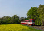 Am 21. April 2018 fahren die beiden B-Wagen 4254 und 4242 bei schönsten Frühlingsfarben in die Haltestelle Froschenteich ein.