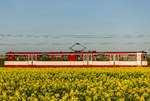 Bei der Durchfahrt durch ein Rapsfeld konnte ich am 18.4.2018 Wagen 4715 der Duisburger Verkehrsgesellschaft auf der Fahrt nach Düsseldorf aufnehmen.