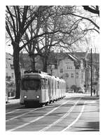 Der Frühling sanft um Einlass bat...