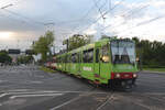 Rheinbahn Tw 4273
Düsseldorf, Werstener Dorfstraße
Linie U76, D-Holthausen
Vollwerbung  Stadtwerke Düsseldorf 
22.05.2024