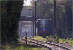 Am D�sseldorfer Nordstern - 

... ist hier B80-4247 als U79 nach D�sseldorf Hbf unterwegs und wird das Stra�enkreuz der A44 mit der B8 s�dlich der Haltestelle Lohausen mit Unter- und �berf�hrungen parallel zur B8 queren.

12.10.2026 (M)