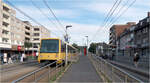 Die Nordstrecke der Essener Stadtbahn - 

Die Endhaltestelle Buerer Straße der Stadtbahnlinie U11 liegt in Essen Horst. Die Linie endet stumpf an einem hohen Zwischenbahnsteig. Auf beiden Seiten liegen die Haltestellenbereiche der Meterspurstraßenbahnlinie 301 der BOGESTRA.

22.08.2023 (M)