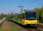 VGF Düwag U4 Wagen 530 Grüne Soße Vollwerbung am 20.04.19 in Frankfurt am Main Niddapark als U1 vom Bahnsteig aus fotografiert