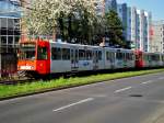 Stadtbahnlinie 16 nach Bonn Bad Godesberg an der Haltetstelle Köln Neustadt-Süd Barbarossaplatz.(18.4.2015)  