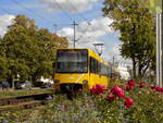 Fellbach,  eine DT8.S 4129/4130 als U1 nach Fellbach Lutherkirche was sie auch grad erreicht ihre Endhaltestelle.