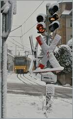 Ein Zahnradtriebwagen vom Typ ZT4 der SSB ist auf der  Zacke  auf der Fahrt vom Degerloch zum Marienplatz.

11. Dezember 2008