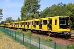 Wagen 1036 der BVG am 28.06.18 bei Biesdorf-Süd auf der Linie 5 nach Hönow.
