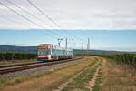 RNV GT6N Wagen 5648 am 29.08.20 bei Bad Dürkheim in dem Weinfeldern