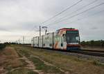 RNV GT6N Wagen 5620 am 29.08.20 bei Bad Dürkheim in dem Weinfeldern