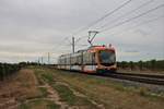 RNV Bombardier Variobahn Wagen 2215 am 29.08.20 bei Bad Dürkheim in dem Weinfeldern