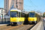 Tatra Treffen in Berlin. An der Haltestelle Landsberger Allee/Rhinstraße trafen sich am 23.7.2018 Tatra Tw 6104 und ein unbekannter Tatrawagen. Beide fuhren auf der M17. Die Linie wird zu zwei drittel mit Tatras bedient. Jeder dritte Umlauf wird mit neuen Niedrigflurfahrzeugen gefahren.

Berlin Marzahn 23.07.2018