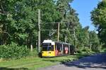 Weit ab des Trubels fährt Tw1569 entlang der Sportpromenade gen Alt-Schmöckwitz.