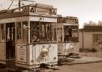 Alte Strassenbahnen in der Schleife Falkenberg, Sommer 2007 -  mehr dazu siehe  http://altebahnen.startbilder.de