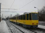 Berlin: Straenbahnlinie M4 nach S-Bahnhof Hackescher Markt an der Haltestelle Weiensee Stadion Buschallee/Hansastrae.