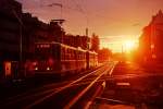 219 107 auf abendlichem Kurs stadtauswrts in der Landsberger Allee, kurz vor der Kreuzung Petersburger Strae, 24.10.1996.