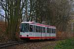 Nachschuss auf Tw 325. Soeben hat er Papenholz verlassen und rauscht nun durch den kurzen Waldabschnitt zur Haltestelle Am Honnengraben. Zum Fahrplanwechsel und der Stilllegung zwischen Papenholz und Bochum Unterstraße wurden restlichen 1976 und 1977 gebauten M6S Triebwagen abgestellt. Nun verkehren hier neue Vario Triebwagen des Types 6xNfGlTwZR. Zwischen Crengeldanz und Witten Heven besteht nun Inselverkehr. Der Abschnitt Crengeldanz bis Unterstraße bleibt vorerst Betriebsstrecke.

Witten 30.11.2019