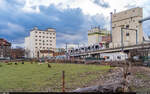 EVAG Combino 626 / Erfurt Strassenbahnbrücke Magdeburger Allee, 24.