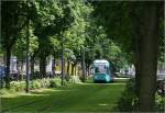 Unter Bäumen -    Eingleisiger Rasenbahnkörper unter Bäumen in der Hamburger Allee.