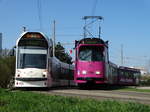 Freiburger VAG Siemens Combino Advanced Wagen 282 und Düwag GT8N Wagen 226 am 25.03.17 in Haid von einen Gehweg aus fotografiert