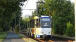 Wagen 314 der Görlitzer Straßenbahn erreicht im Abendlicht die Haltestelle Weinhübel Mitte.