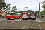 50 Jahre Tatrawagen in Halle (Saale)  Anlässlich ihrer 50-jährigen Betriebszugehörigkeit im halleschen Straßenbahnnetz veranstalten die Halleschen Straßenbahnfreunde e.V.