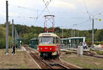 50 Jahre Tatrawagen in Halle (Saale)  Anlässlich ihrer 50-jährigen Betriebszugehörigkeit im halleschen Straßenbahnnetz verkehren alle vorhandenen Tatrawagen und deren Umbauten der