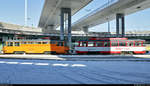 Arbeitsfahrzeug Tatra T4D-C (Wagen 035) und Fahrschulwagen (Wagen 985) stehen als Winterdienst am Riebeckplatz in Halle (Saale), während einige Mitarbeiter gerade die Gleise beräumen.