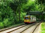 Straenbahn im Dschungel? Nein, ehr Straenbahn mit viel Bezug zur groen Eisenbahn!  Auch wenn es nicht ersichtlich ist wo hier der zusammenhang bestehen soll, aber es gibt einen.