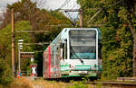 Die Linie 9 der KVB mit der Wagennummer 4041 auf dem Weg nach Königsforst.