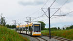 Variobahn 233 fährt als Linie 51 Richtung Mainz Hauptbahnhof zur Haltestelle Marienborn Bahnhof hinunter