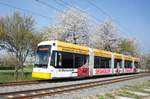 Straßenbahn Mainz / Mainzelbahn: Stadler Rail Variobahn der MVG Mainz - Wagen 224, aufgenommen im April 2017 zwischen Mainz-Lerchenberg und Mainz-Marienborn.