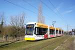 Straßenbahn Mainz / Mainzelbahn: Stadler Rail Variobahn der MVG Mainz - Wagen 225, aufgenommen im Februar 2018 in Mainz-Bretzenheim.