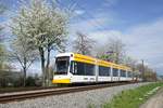 Straßenbahn Mainz / Mainzelbahn: Stadler Rail Variobahn der MVG Mainz - Wagen 218, aufgenommen im April 2018 bei der Bergfahrt zwischen Mainz-Lerchenberg und Mainz-Marienborn.