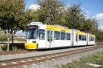 Straßenbahn Mainz / Mainzelbahn: Adtranz GT6M-ZR der MVG Mainz - Wagen 204, aufgenommen Anfang Oktober 2018 bei der Bergfahrt zwischen Mainz-Lerchenberg und Mainz-Marienborn.