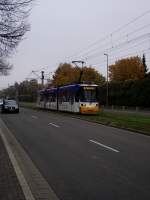 Mainzer Straenbahn auf der Rheinhessen Strae auf der Linie 50 unterwegs in Hechtsheim am 02.11.11