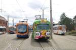 RNV Bombardier Variobahn und Düwag GT8 am 01.03.20 in Mannheim Käfertal vom Bahnsteig aus fotografiert