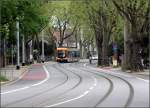 Unter Bäumen -     Straßenbahnstrecke in der Handschuhsheimer Landstraße nördlich der Haltestelle Kußmaulstraße.