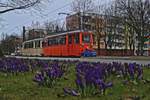 Der Arbeitswagen 554 der Rostocker Straenbahn AG war am 19.03.2017 mit Beiwagen 156 durch Ltten Klein unterwegs, wo der Frhling, ansonsten vllig unbemerkt, angekommen ist.